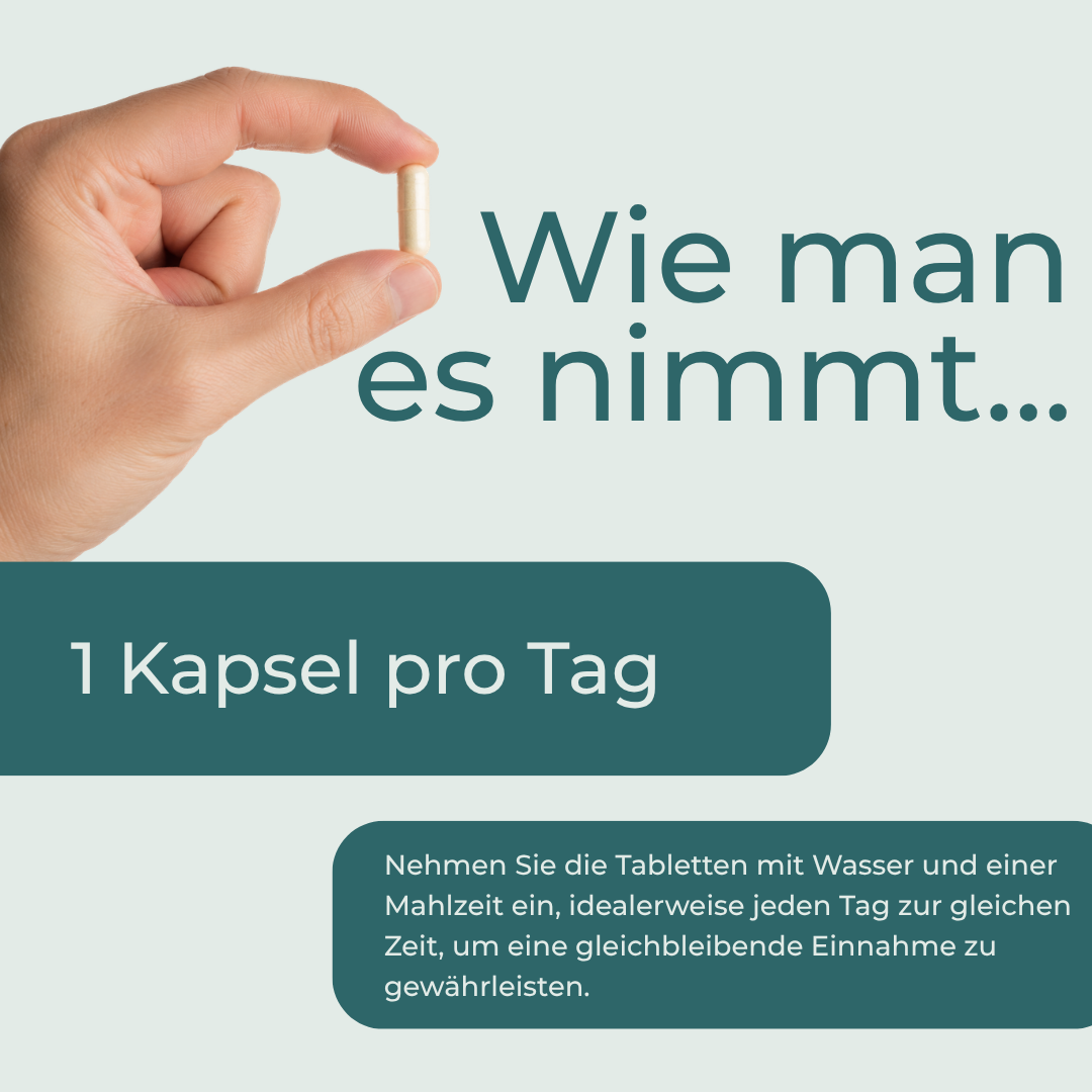 Resveratrol Kapseln