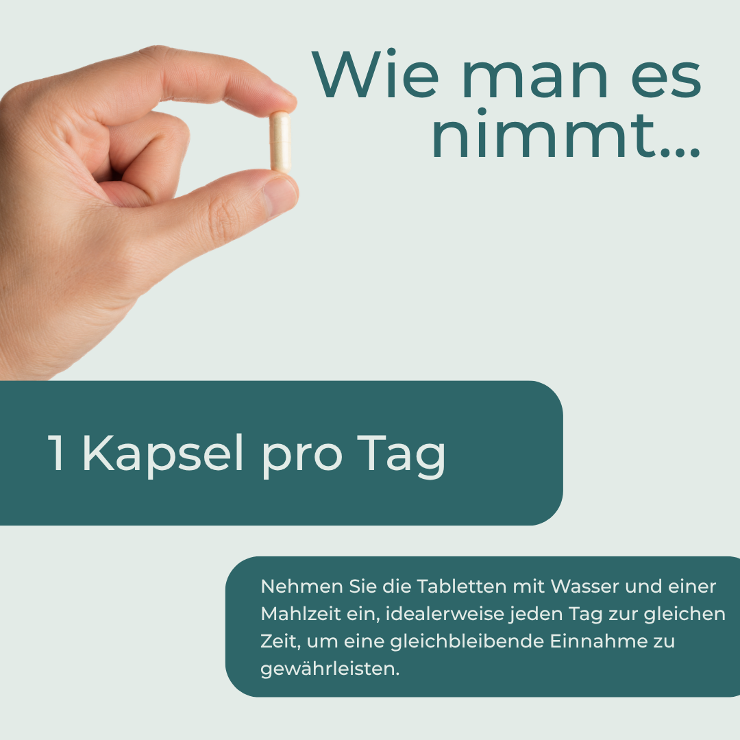 NAC Kapseln