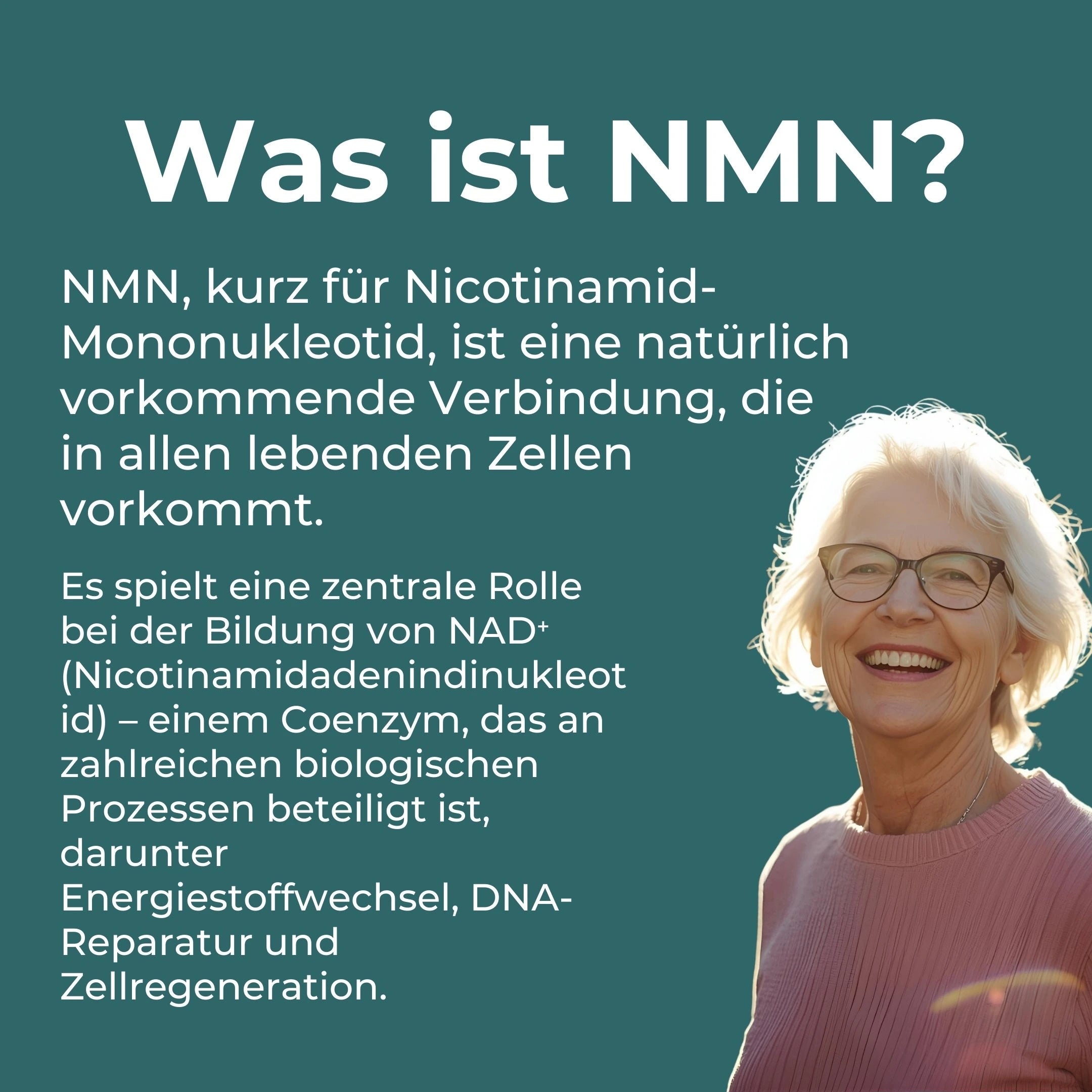 NMN Supplement