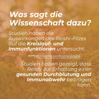 Reishi Pilz Gummibärchen