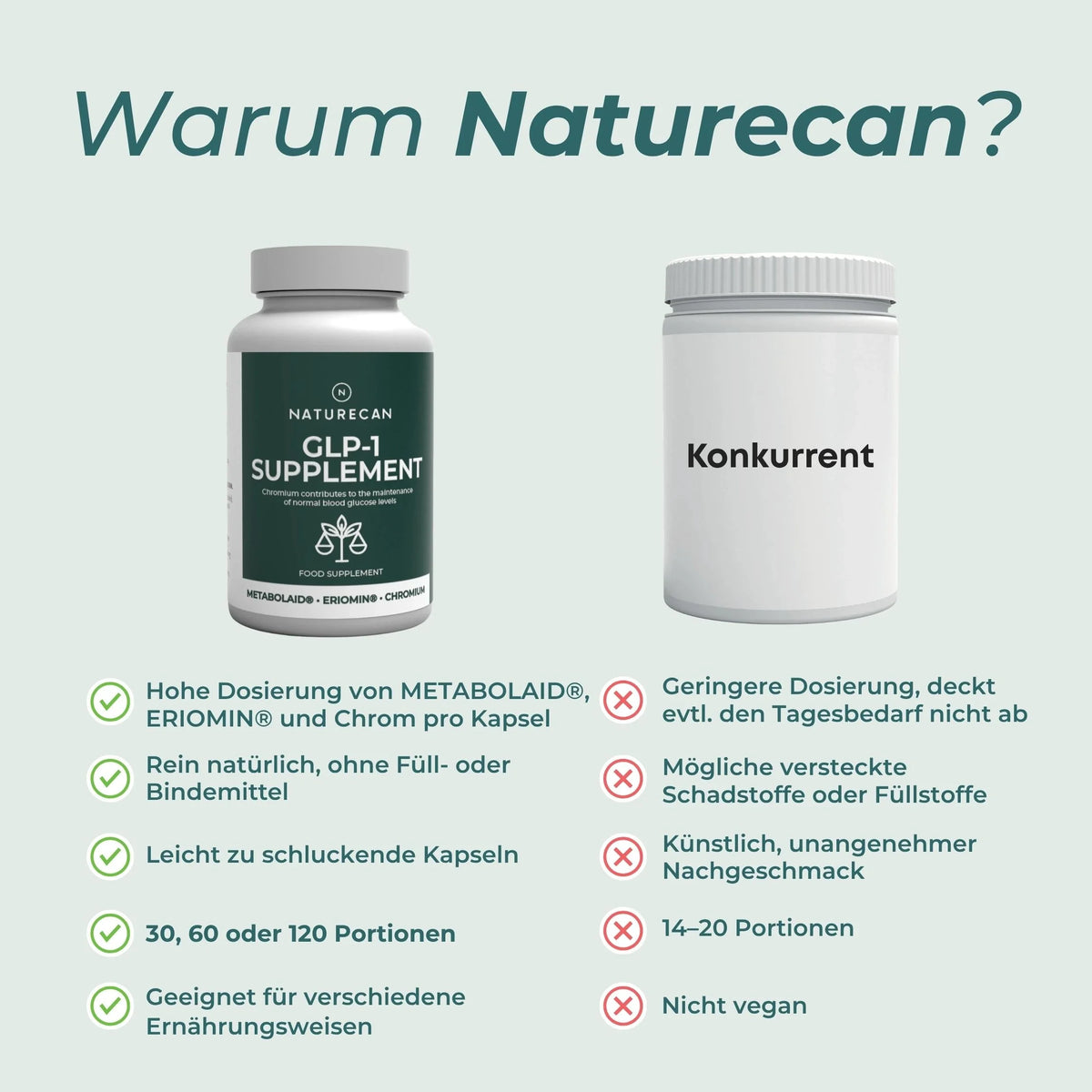 GLP-1 Supplement