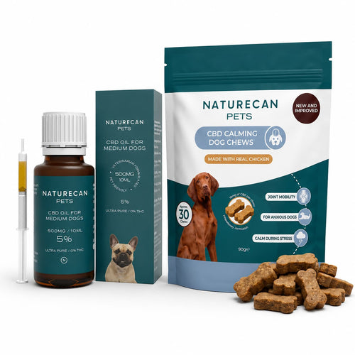 CBD Bundle für Hunde für innere Ruhe
