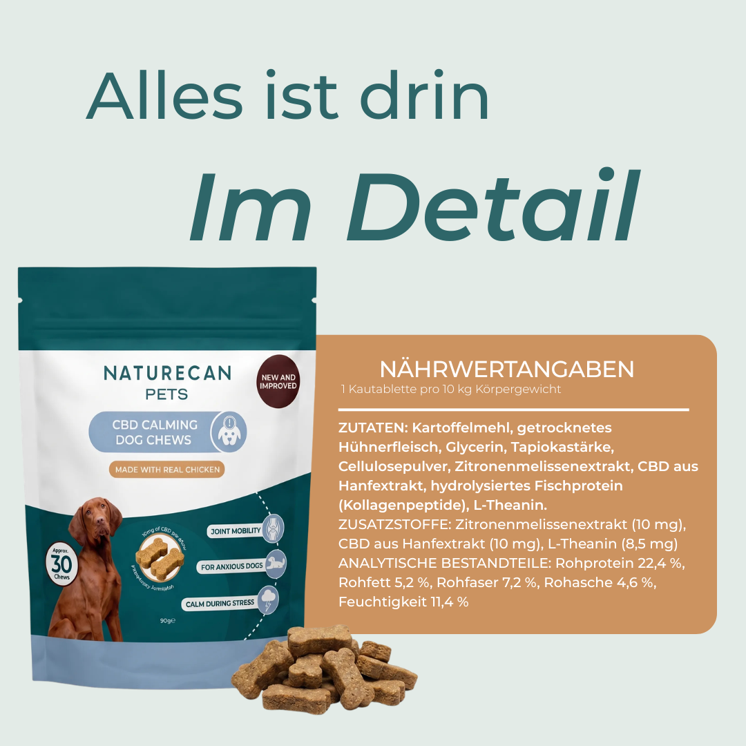 CBD-Leckerlis für Hunde – Ruhe & Entspannung