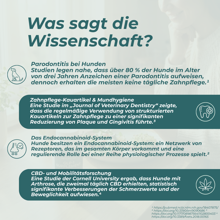 CBD Zahnpflege - Sticks für Hunde