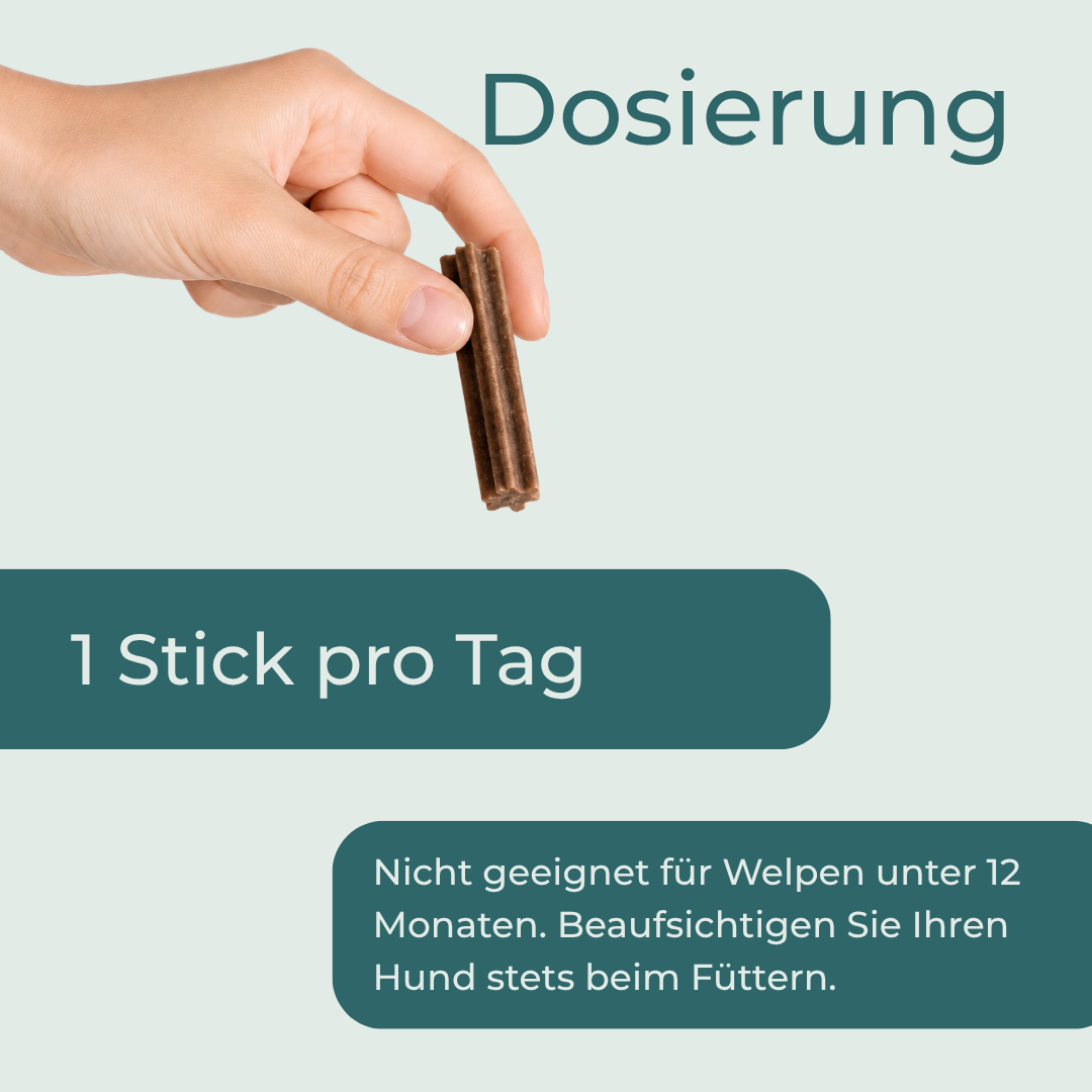CBD Zahnpflege - Sticks für Hunde
