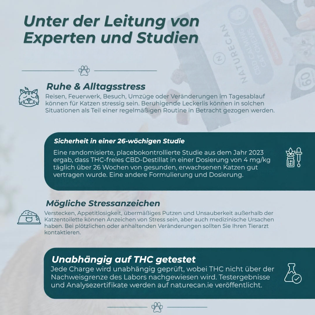 CBD-Leckerlis zur Beruhigung von Katzen