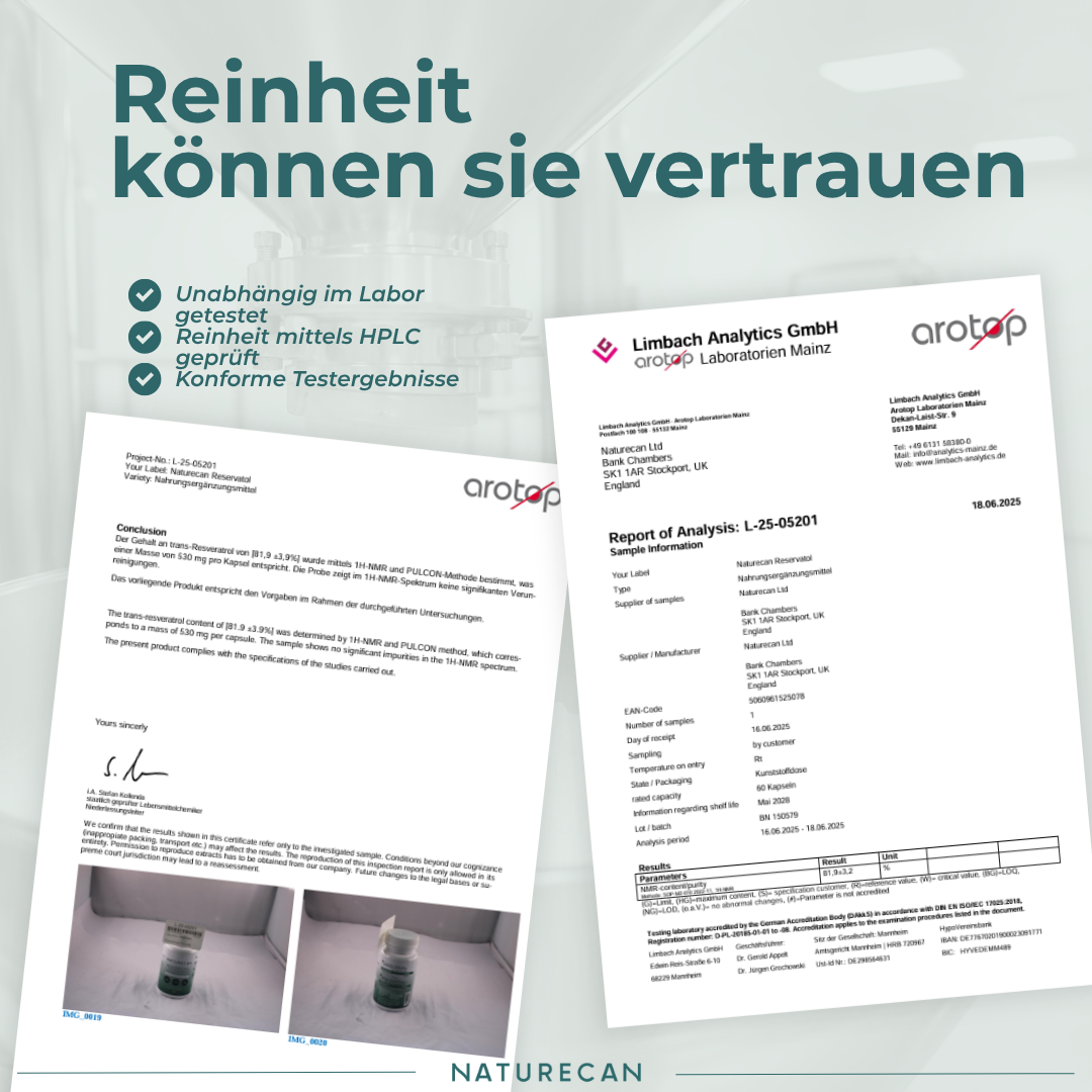 Resveratrol Kapseln
