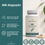 NAD Supplement (NR)