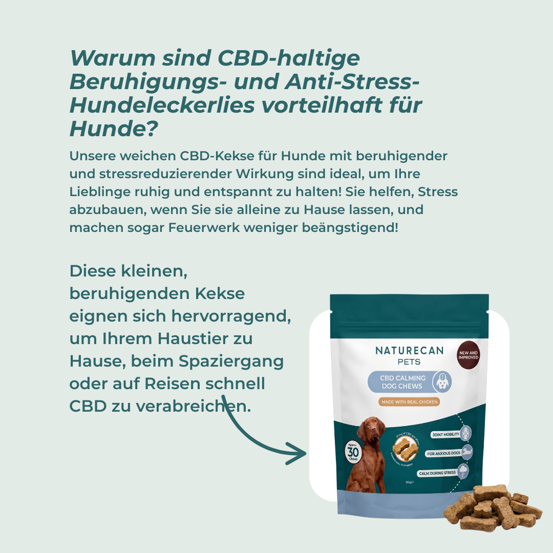 CBD-Leckerlis für Hunde – Ruhe & Entspannung