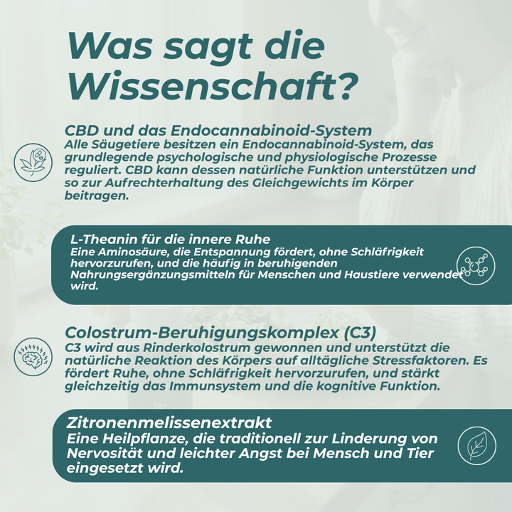 CBD-Leckerlis für Hunde – Ruhe & Entspannung