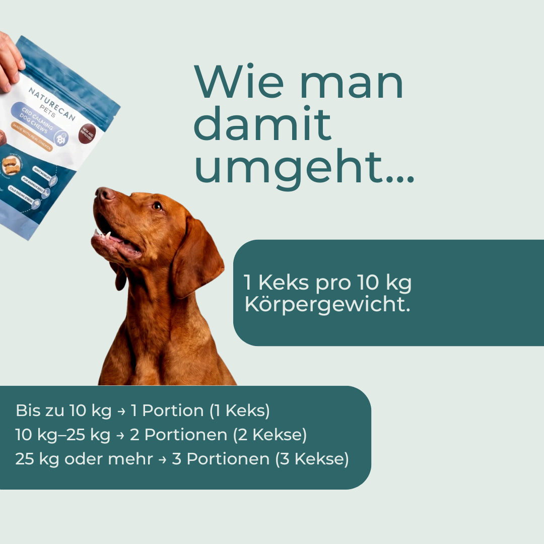 CBD-Leckerlis für Hunde – Ruhe & Entspannung