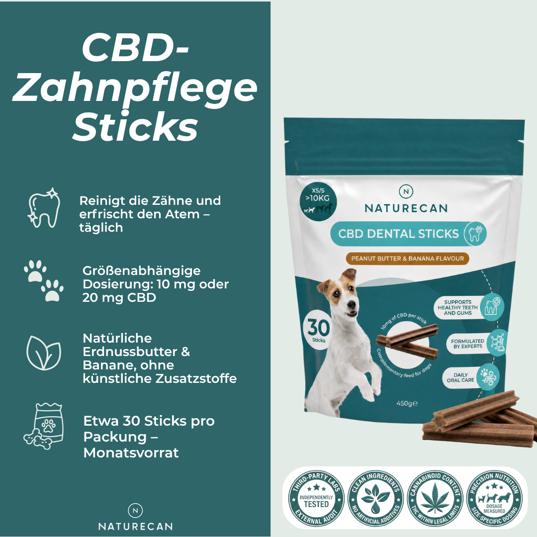 CBD Zahnpflege - Sticks für Hunde