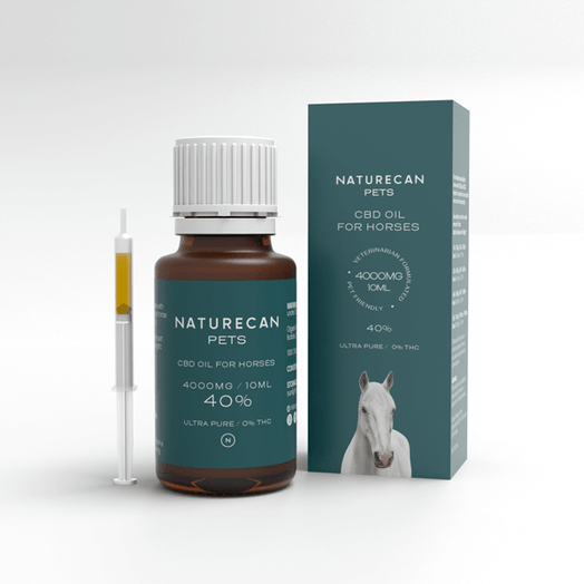 CBD Öl für Pferde