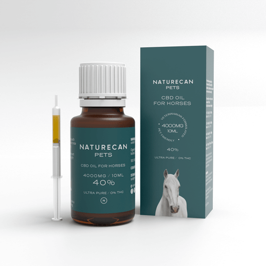 Huile de CBD pour chevaux