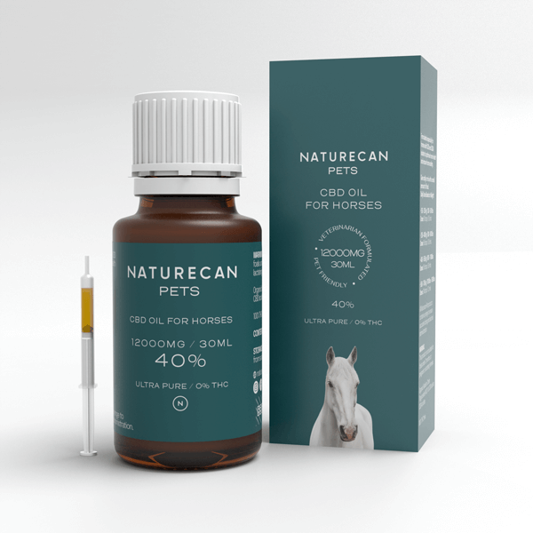 CBD Öl für Pferde