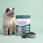 CBD-Leckerlis zur Beruhigung von Katzen
