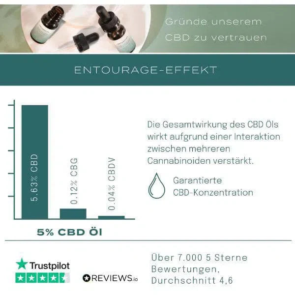 Vegane CBD Fruchtgummis 3+1